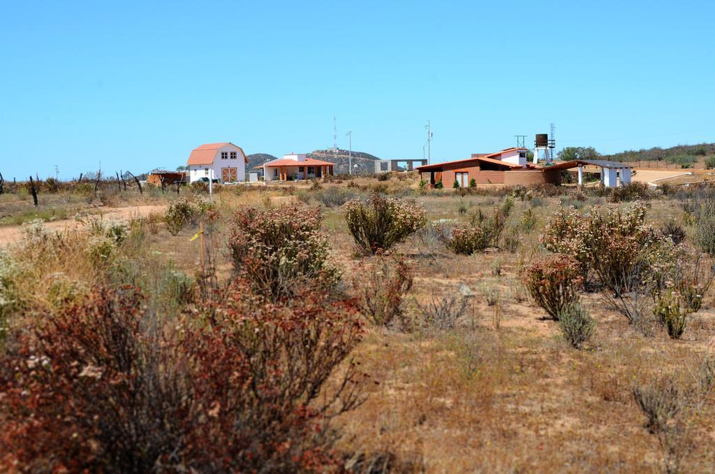 Little Nest En Rancho El Rossinyol Pensionat Guadalupe Eksteriør billede